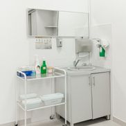 Медея - фото 4