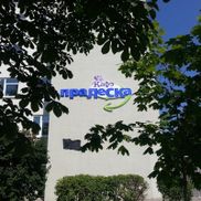 Пралеска - фото 1