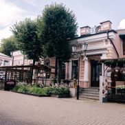 Золотой лев - фото 1