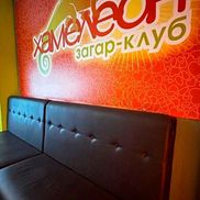 Хамелеон - фото 1