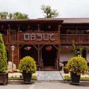 Оазис - фото 1