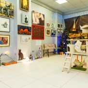 Музей кота - фото 1