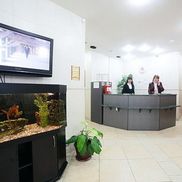 ЛОДЭ  - фото 1