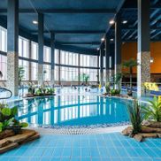 Мандарин - фото 1