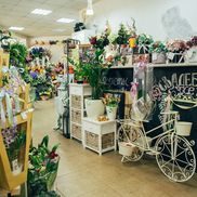 Планета цветов - фото 1