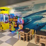 Чижовка-Арена - фото 1