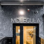 Molecula - фото 1