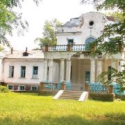 Совейки - фото 1