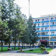 Сосновый бор - фото 1