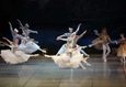 Спектакль «‎Лебединое озеро» 2