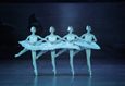 Спектакль «Лебединое озеро» 6