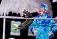 Спектакль «Зимняя сказка и кошки от Театра кошек Куклачева» 5