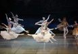Спектакль «Лебединое озеро» 1