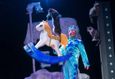 Спектакль «Зимняя сказка и кошки от Театра кошек Куклачева» 6