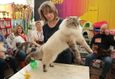 Международная выставка кошек «О Кошках с Любовью» 1