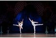 Спектакль «‎Щелкунчик»‎ 5