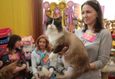 Международная выставка кошек «О Кошках с Любовью» 4