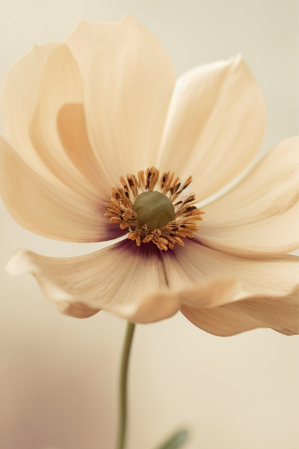 Курс «Экзистенциальное консультирование, психотерапия и философия»