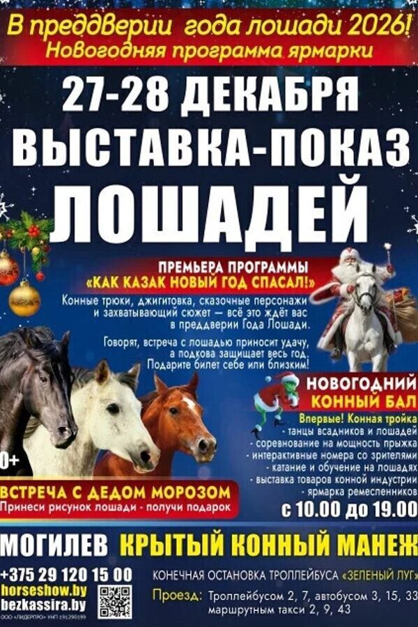 Выставка лошадей «Новогодний Калейдоскоп: Лошадиная Феерия»