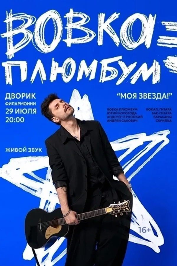 Концерт Вовки Плюмбума