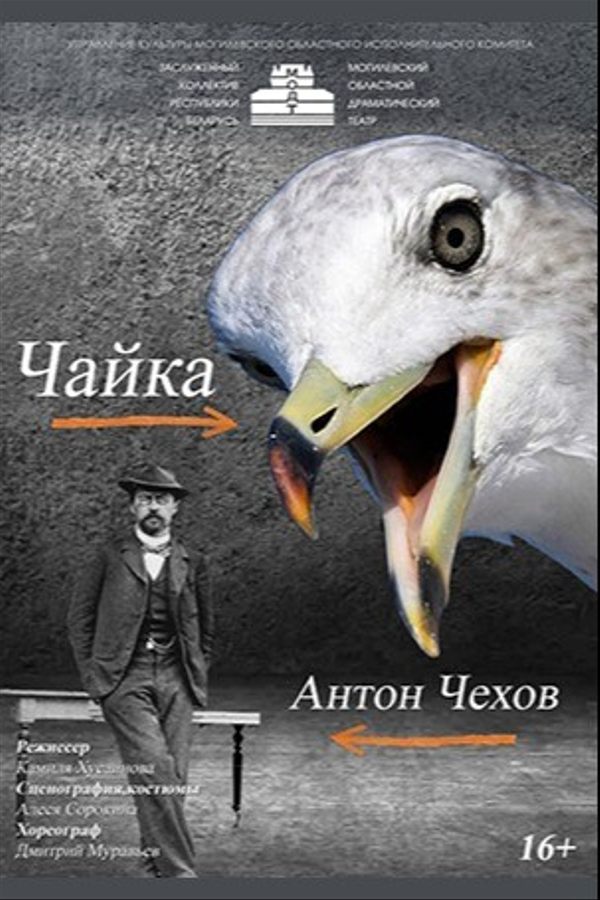 Спектакль «Чайка»