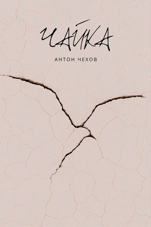 Спектакль «Чайка»