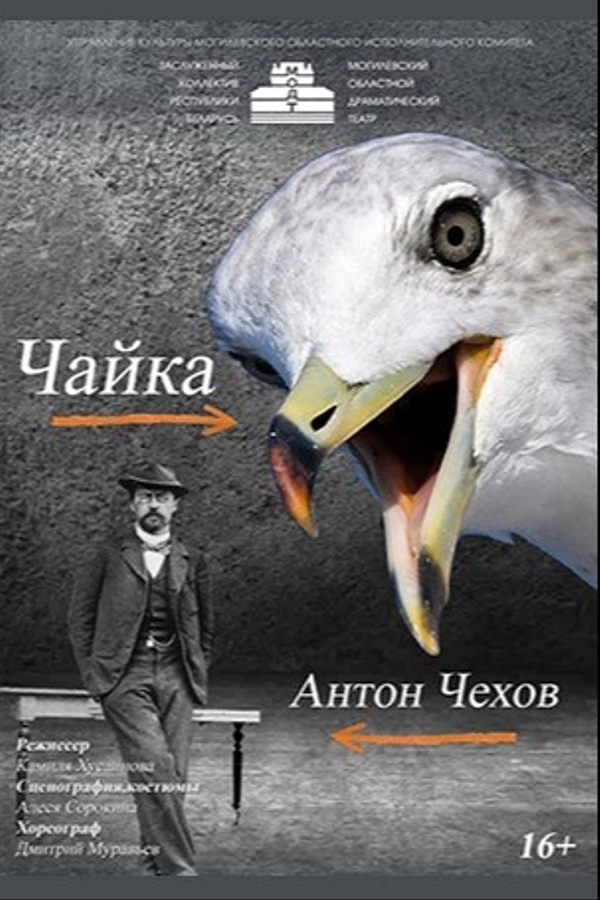 Спектакль «Чайка»