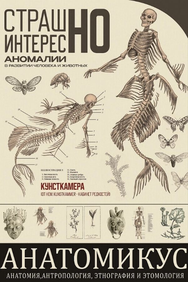 Анатомикус или Минская Кунсткамера