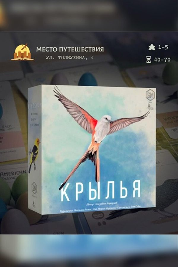 Игротека «Крылья»