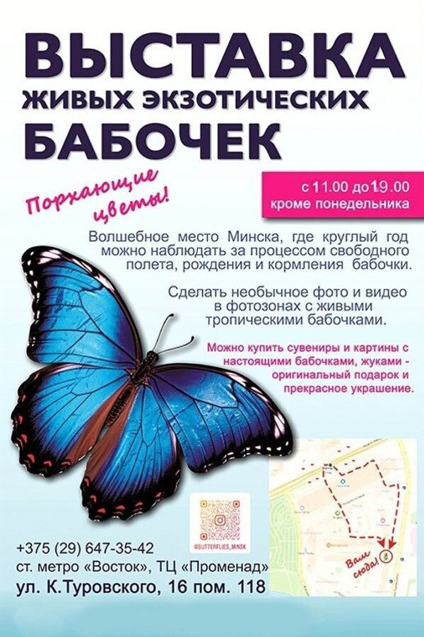 Выставка живых экзотических бабочек «Порхающие цветы»