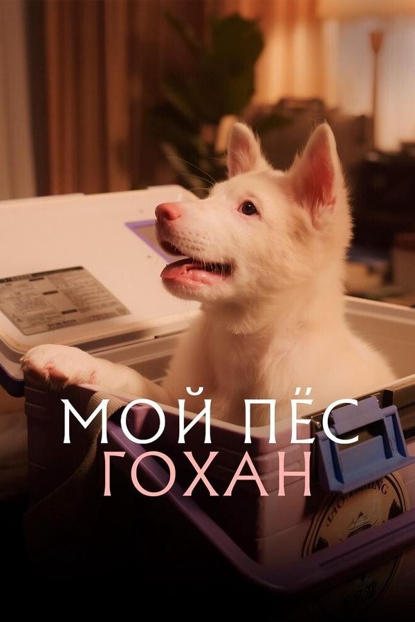 Мой пес Гохан