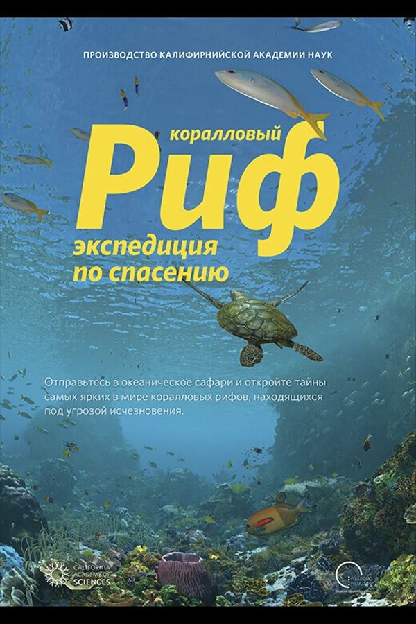 Иммерсивный фильм «‎Коралловый риф»