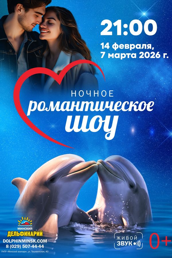 Ночное романтическое шоу