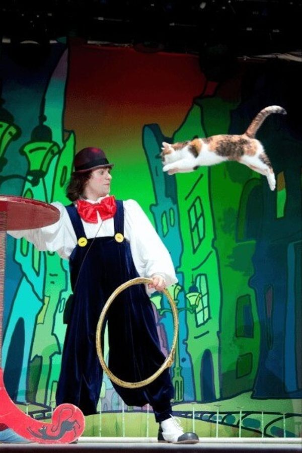 Спектакль «Волшебные кошки Куклачёва» Театр кошек Куклачёва (г. Москва, РФ)