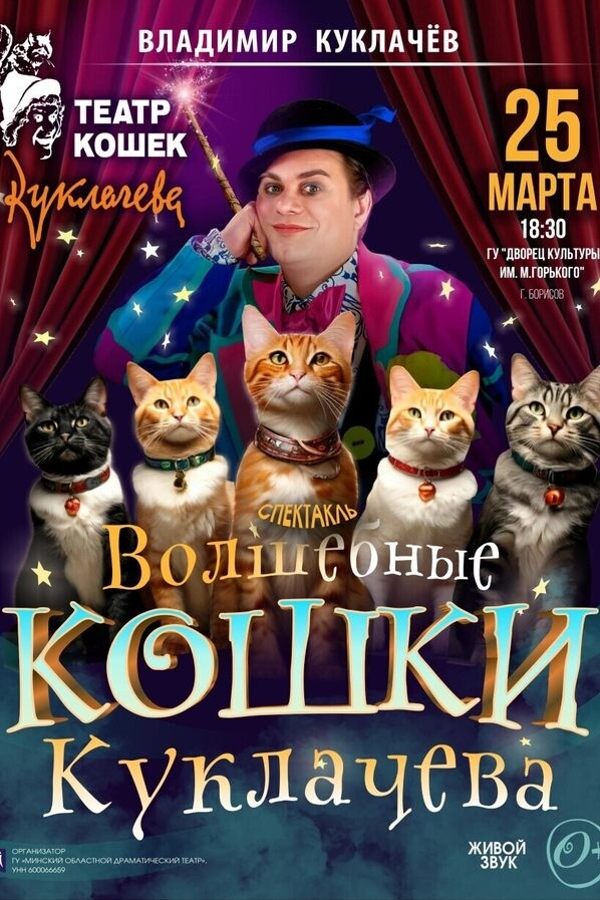 Спектакль «Волшебные кошки» театра кошек Куклачева