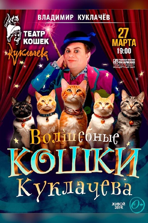 Спектакль «Волшебные кошки»
