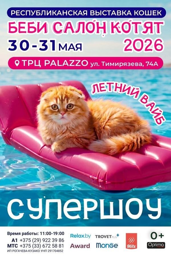 Беби Салон Котят — 2026! «Летний Вайб». Республиканская выставка кошек. СуперШоу