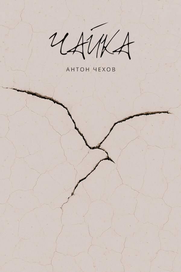 Спектакль «Чайка»