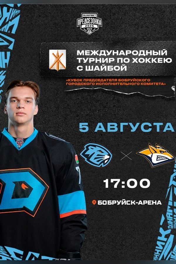 Кубок председателя Бобруйского городского исполнительного комитета «Динамо Шинник» — «Стальные лисы»