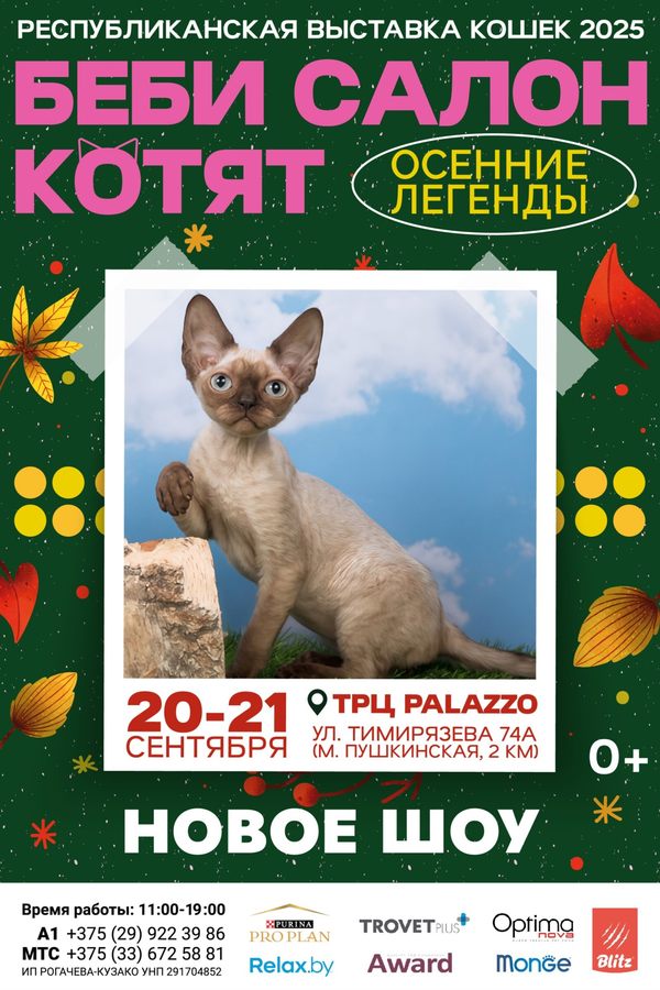 Беби Салон Котят — 2025! «Осенние Легенды». Республиканская выставка кошек. СуперШоу