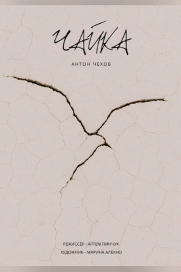 Спектакль «Чайка»