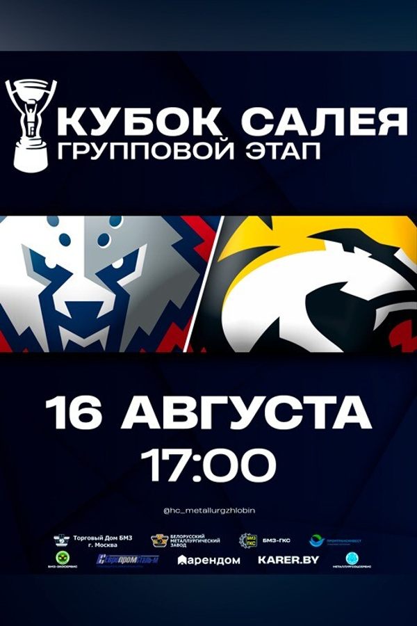 Кубок Руслана Салея. «Металлург» Жлобин — «Гомель»