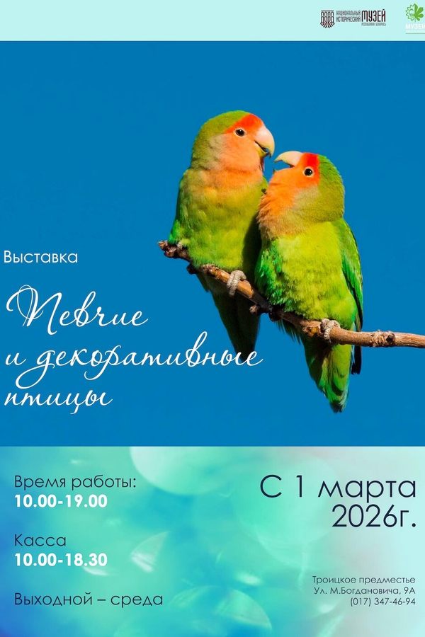 Выставка «Певчие и декоративные птицы»