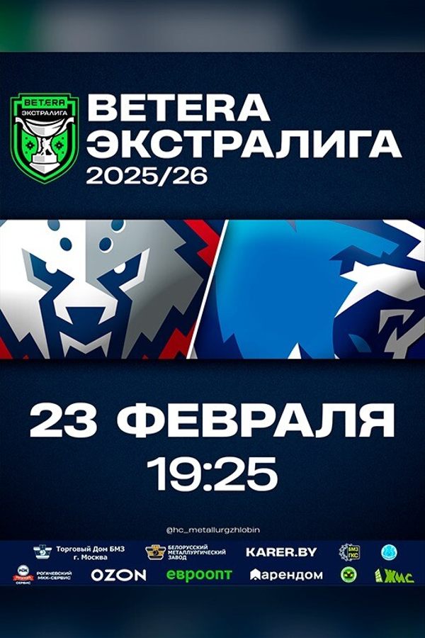 ХК «Металлург» Жлобин — ХК «Витебск»
