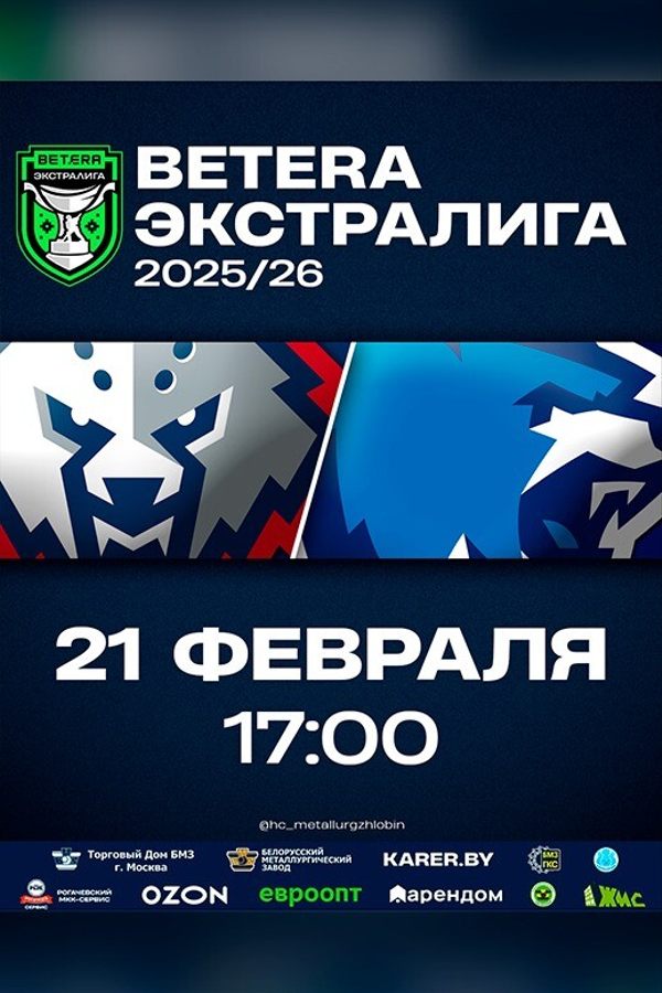 ХК «Металлург» Жлобин — ХК «Витебск»