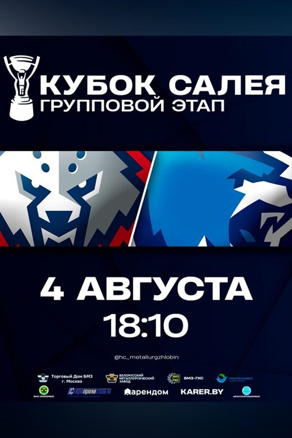 Кубок Руслана Салея. «Металлург» Жлобин — «Витебск»