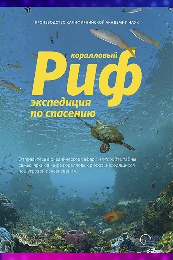 Иммерсивный фильм «‎Коралловый риф»