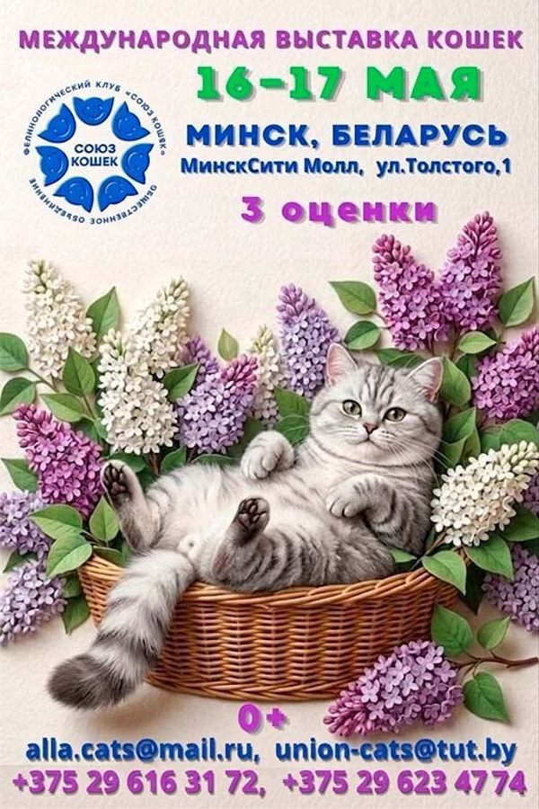Международная выставка кошек «Майские коты»