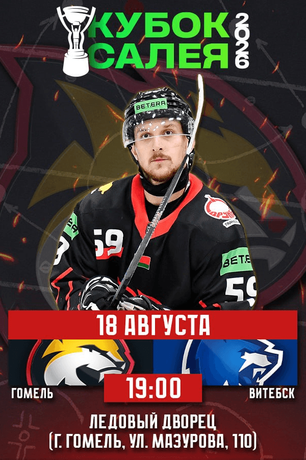 Кубок Руслана Салея. Гомель — Витебск