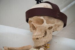 Скидка 50% для студентов